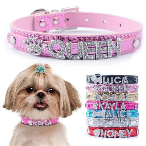 designer collars for small dogs.